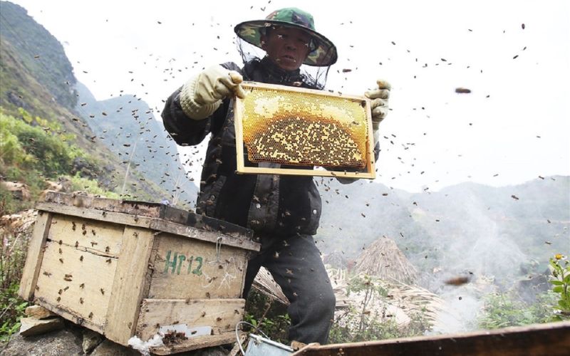 mua quà gì khi du lịch hà giang