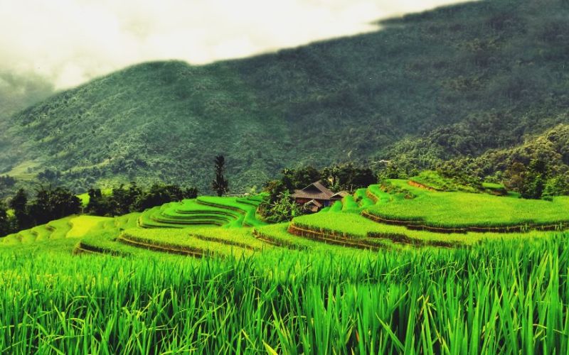 Vùng núi thấp Hà Giang
