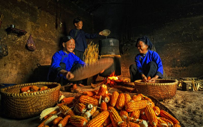 Rượu ngô men lá