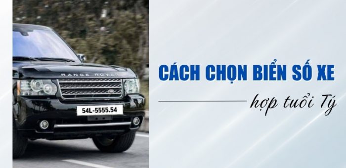Hướng Dẫn Cách Chọn Biển Số Xe Hợp Tuổi Tý Theo Chuẩn Phong Thủy