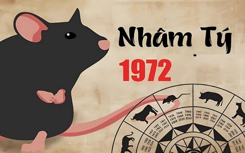 cách chọn biển số xe tuổi Nhâm Tý