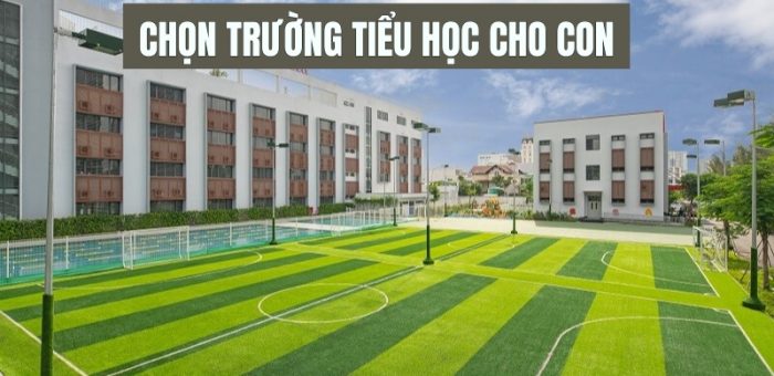 Kinh Nghiệm Chọn Trường Tiểu Học Cho Con Đầy Đủ Nhất
