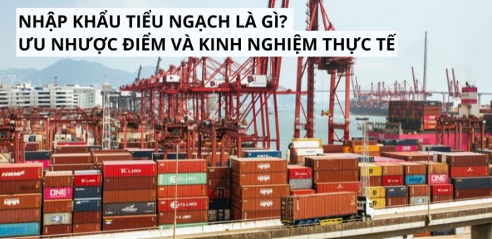 Nhập Khẩu Tiểu Ngạch Là Gì? Ưu Nhược Điểm Và Kinh Nghiệm Thực Tế